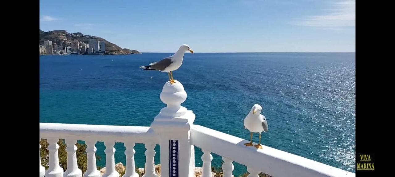 Apartamento en Benidorm Exterior foto